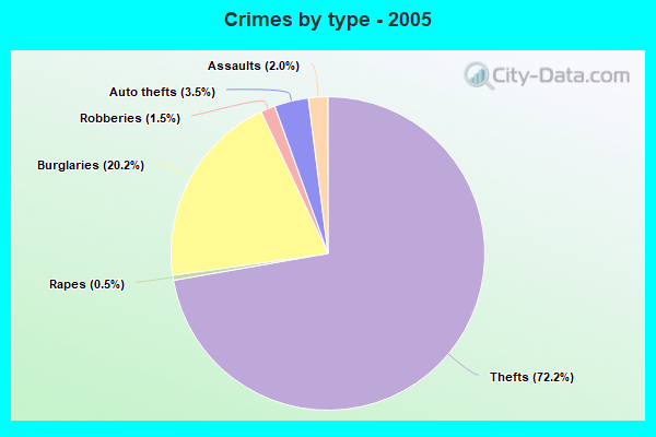 Crimes by type - 2005