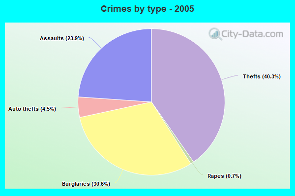 Crimes by type - 2005