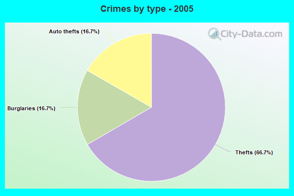 Crimes by type - 2005