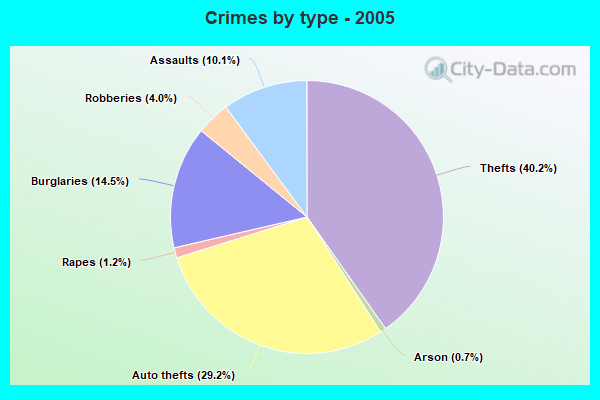 Crimes by type - 2005