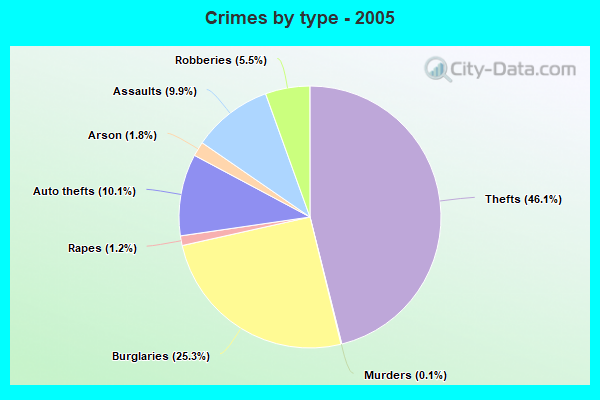 Crimes by type - 2005