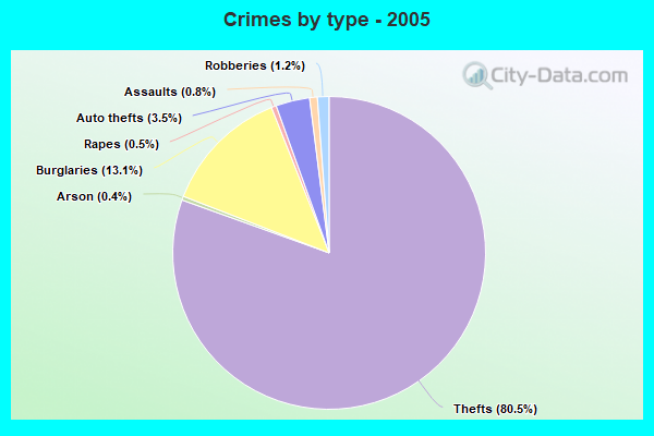 Crimes by type - 2005