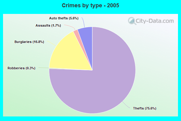 Crimes by type - 2005