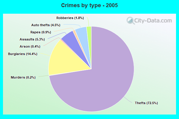 Crimes by type - 2005