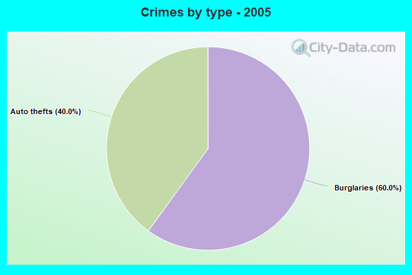 Crimes by type - 2005