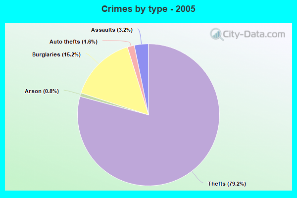 Crimes by type - 2005