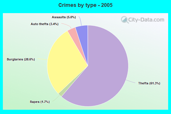 Crimes by type - 2005