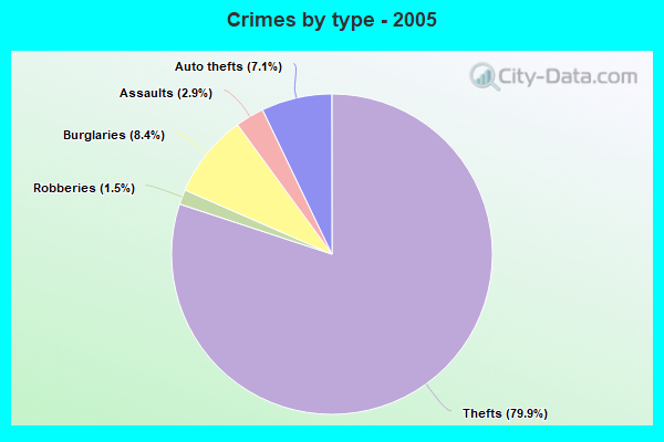 Crimes by type - 2005