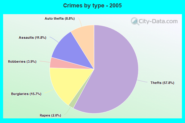 Crimes by type - 2005