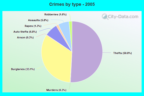 Crimes by type - 2005