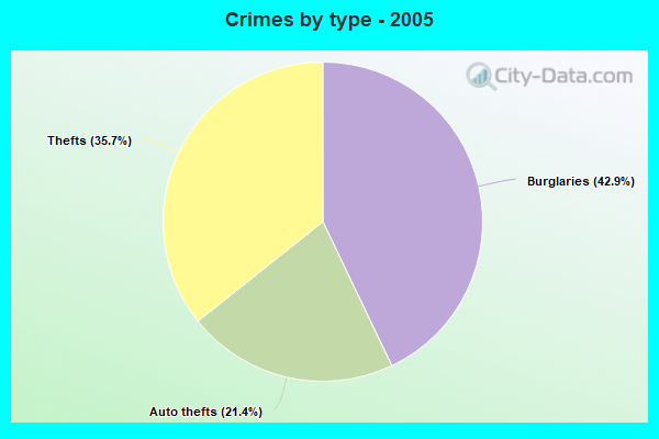 Crimes by type - 2005