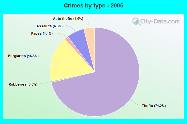 Crimes by type - 2005