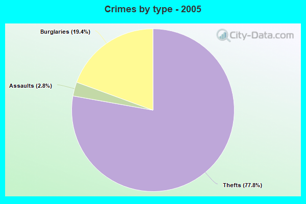 Crimes by type - 2005