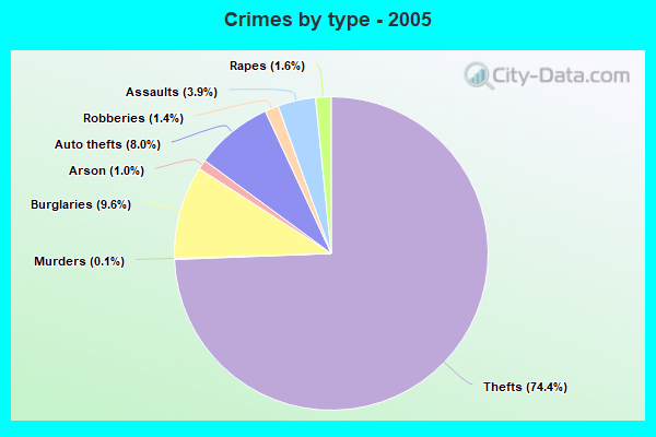 Crimes by type - 2005