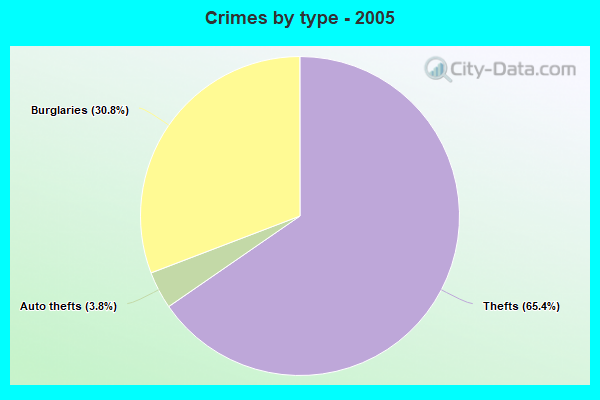 Crimes by type - 2005