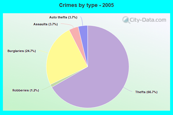 Crimes by type - 2005