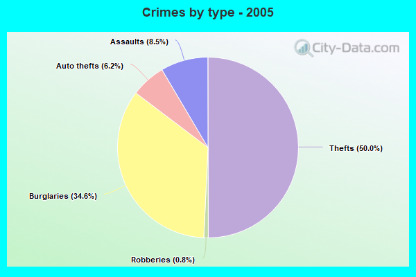 Crimes by type - 2005