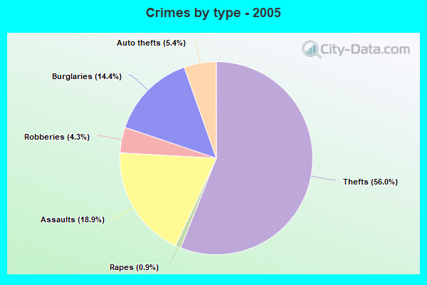 Crimes by type - 2005