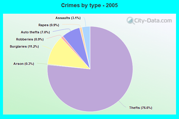 Crimes by type - 2005