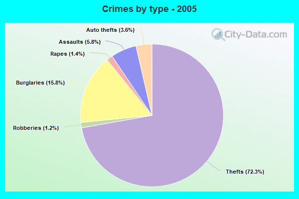 Crimes by type - 2005