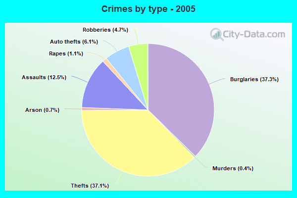 Crimes by type - 2005