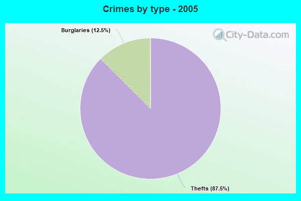 Crimes by type - 2005