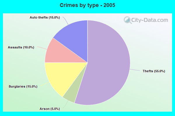 Crimes by type - 2005