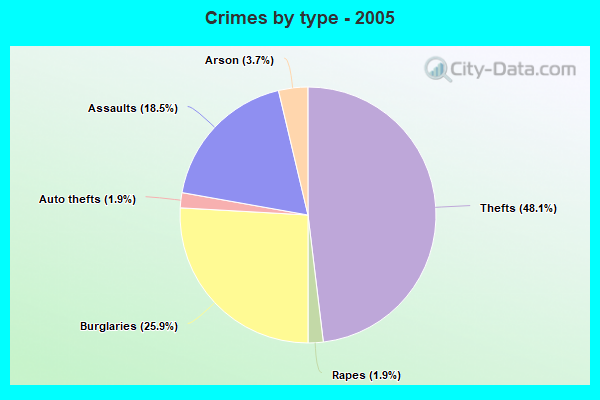 Crimes by type - 2005