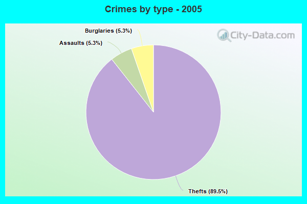 Crimes by type - 2005