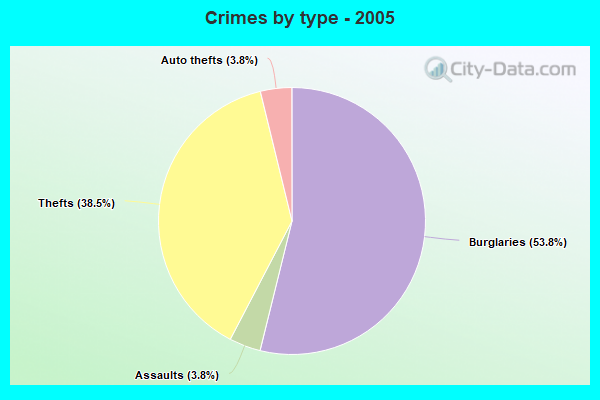 Crimes by type - 2005