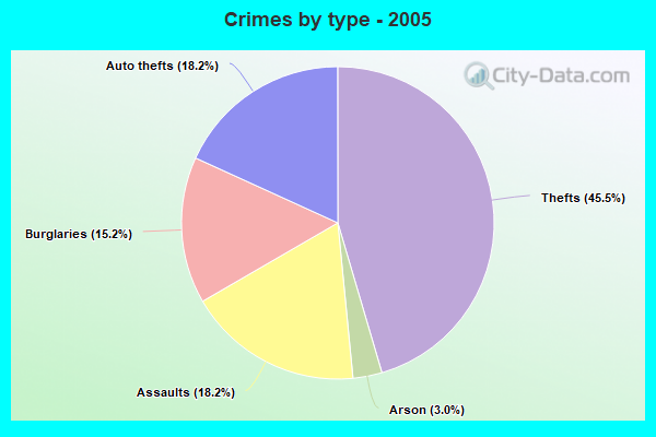 Crimes by type - 2005