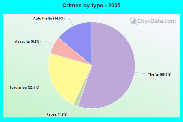 Crimes by type - 2005