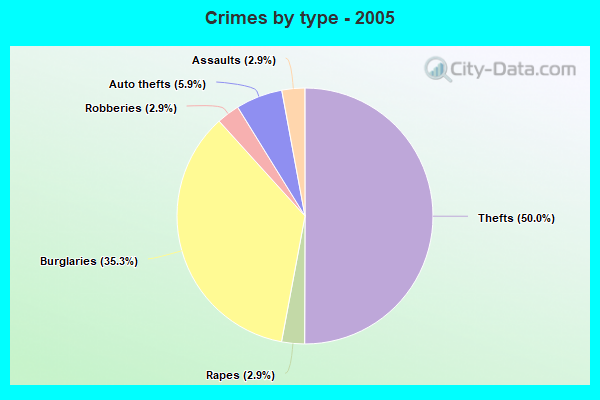 Crimes by type - 2005