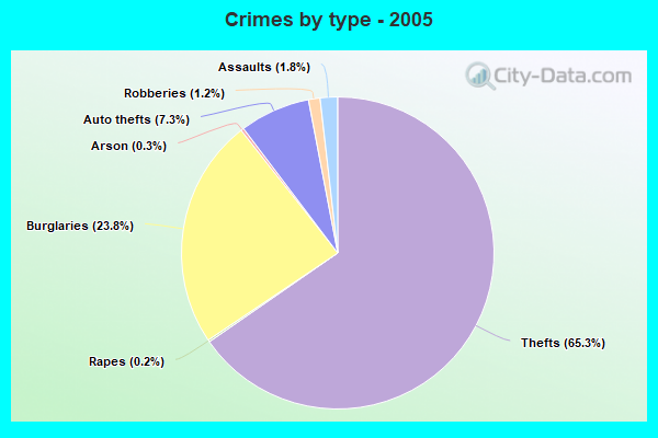 Crimes by type - 2005