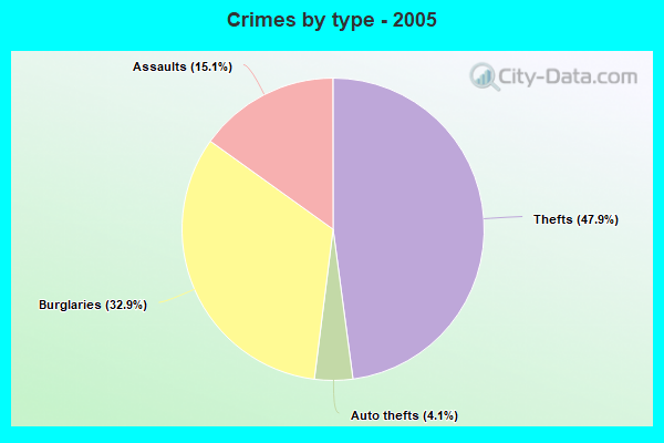 Crimes by type - 2005