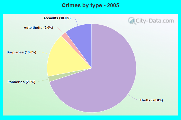 Crimes by type - 2005