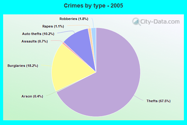 Crimes by type - 2005