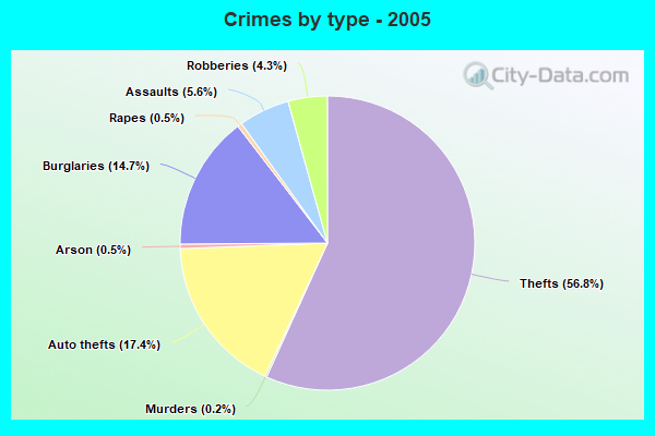 Crimes by type - 2005