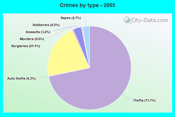 Crimes by type - 2005