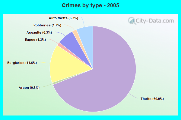 Crimes by type - 2005