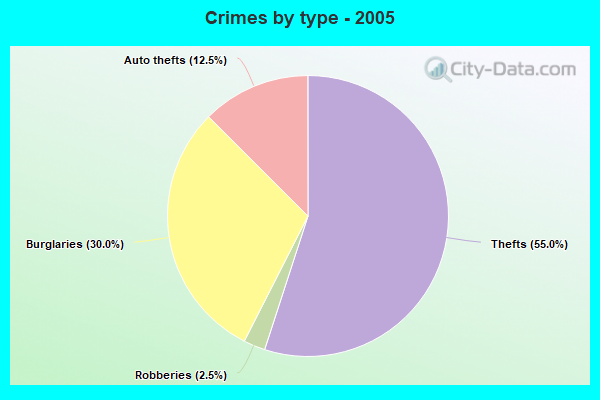 Crimes by type - 2005