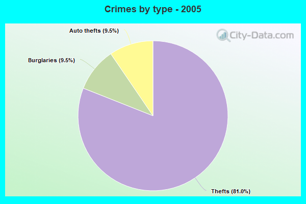 Crimes by type - 2005