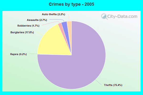 Crimes by type - 2005