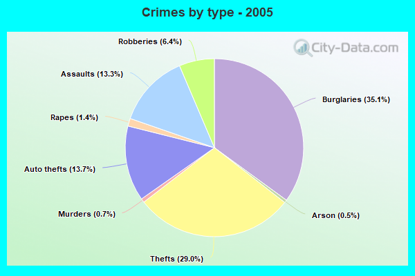 Crimes by type - 2005