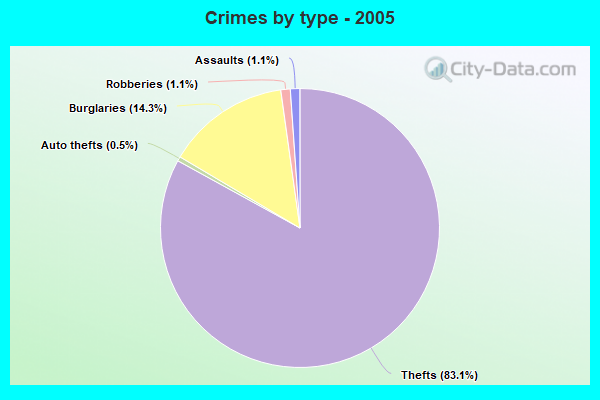 Crimes by type - 2005