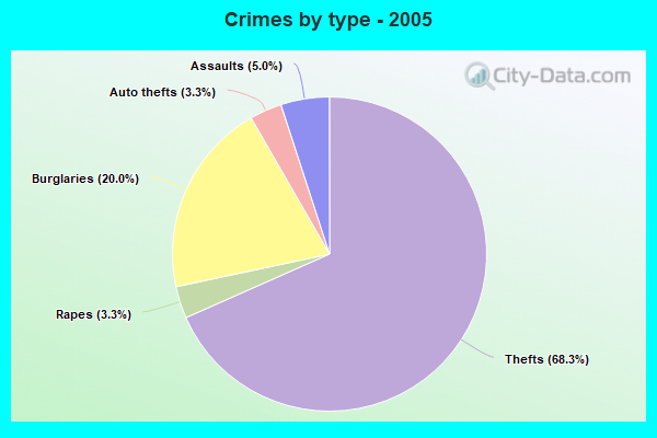 Crimes by type - 2005