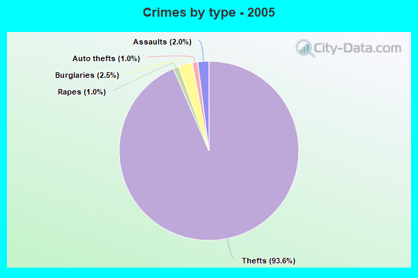 Crimes by type - 2005