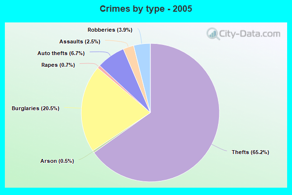 Crimes by type - 2005