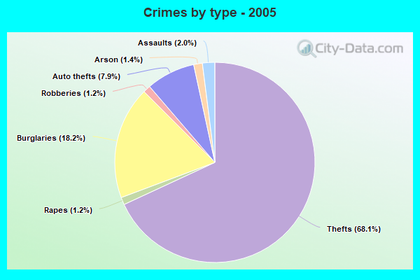 Crimes by type - 2005