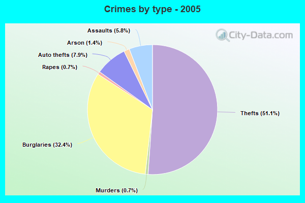 Crimes by type - 2005